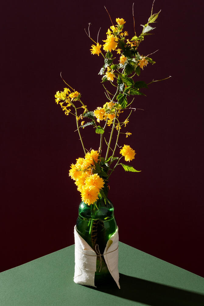 Yellow flowers in a green glass bottle on a green table with dark purple background Yellow flowers in a green glass bottle on a green table with dark purple background